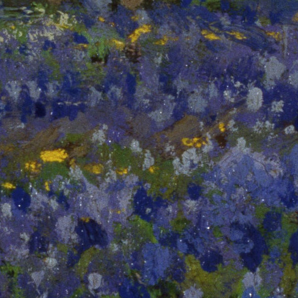 Field of Bluebonnets - by Robert Julian Onderdonk