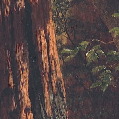 Giant Redwood Trees of California - by Albert Bierstadt