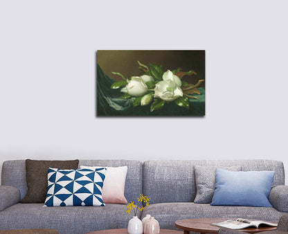 Magnolias on Light Blue Velvet Cloth - by Martin Johnson Heade