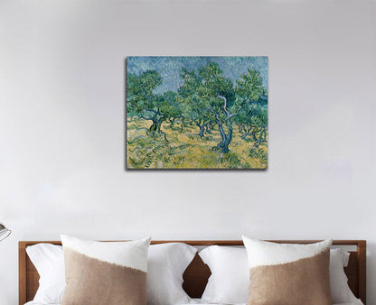 Olive grove - by Vincent van Gogh