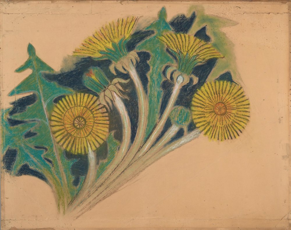 Sow thistle flowers. Design for the painting decoration the parish church in Biecz - by Stanisław Wyspiański