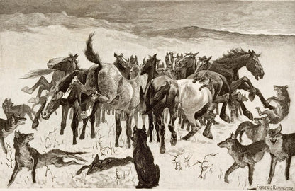 Broncos and Timber Wolves - by Frederic Remington