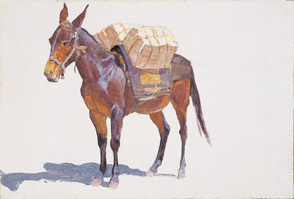 Untitled pack mule study - by Frederic Remington