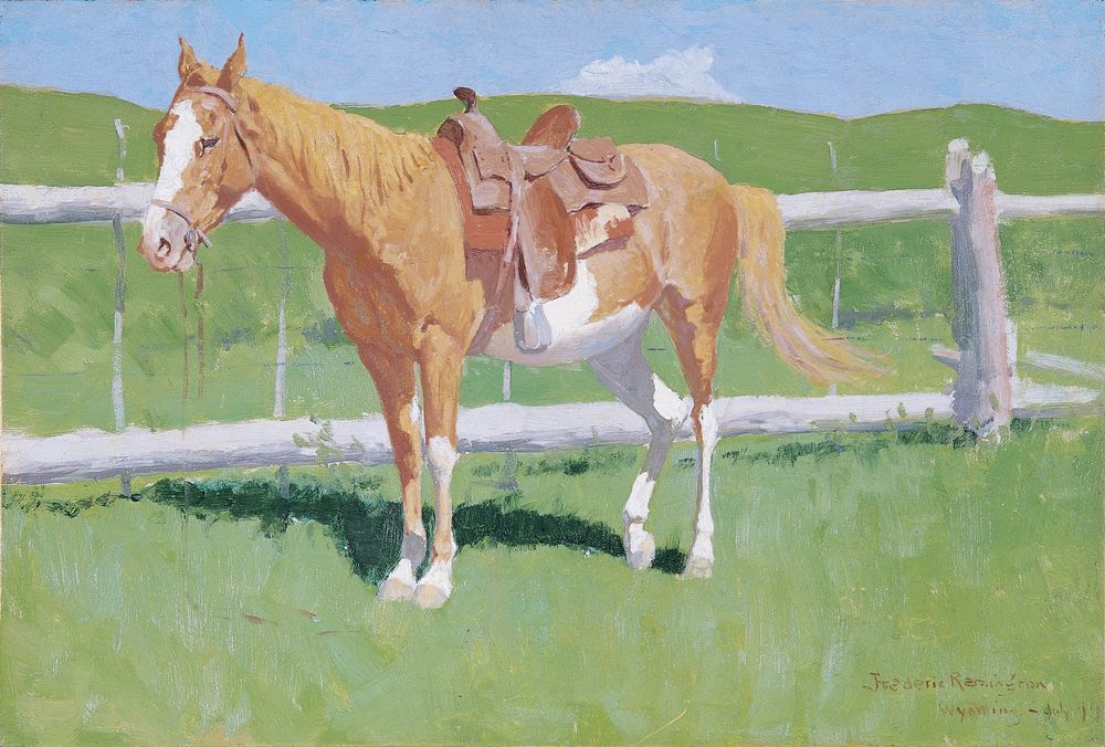 Sorrel Horse Study - by Frederic Remington