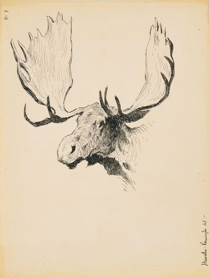 Moose Head - by Frederic Remington