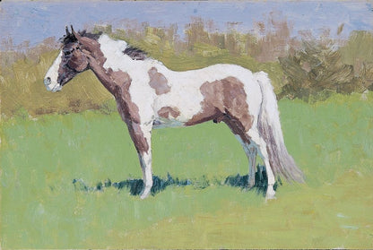 Untitled horse study 7 - by Frederic Remington