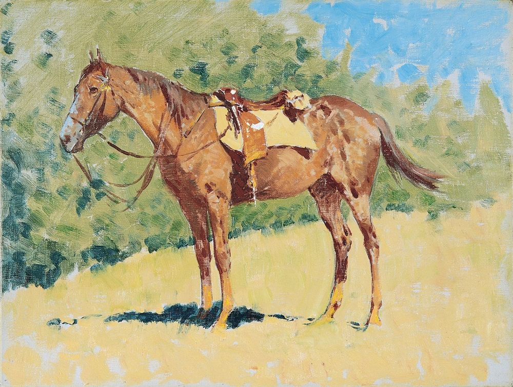 Untitled horse study 2 - by Frederic Remington