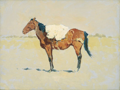 Study for Pack Horse - by Frederic Remington