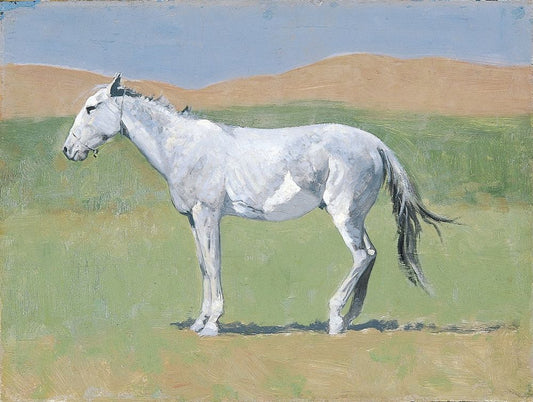 Untitled horse study 5 - by Frederic Remington