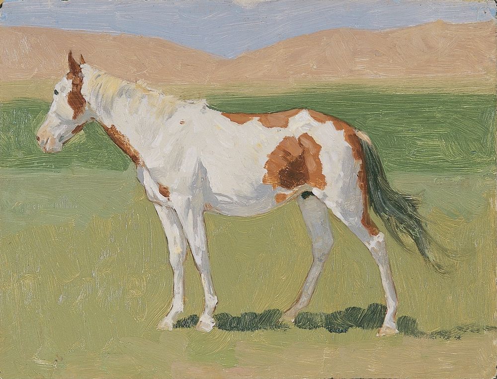 Untitled horse study 6 - by Frederic Remington