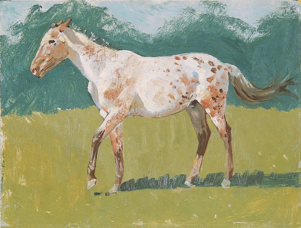 Untitled horse study 4 - by Frederic Remington