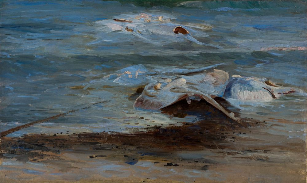 Dead skates - by Peder Severin Krøyer