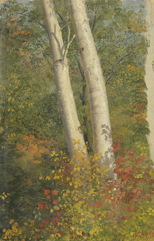 Birch Trees in Autumn - by Frederic Edwin Church