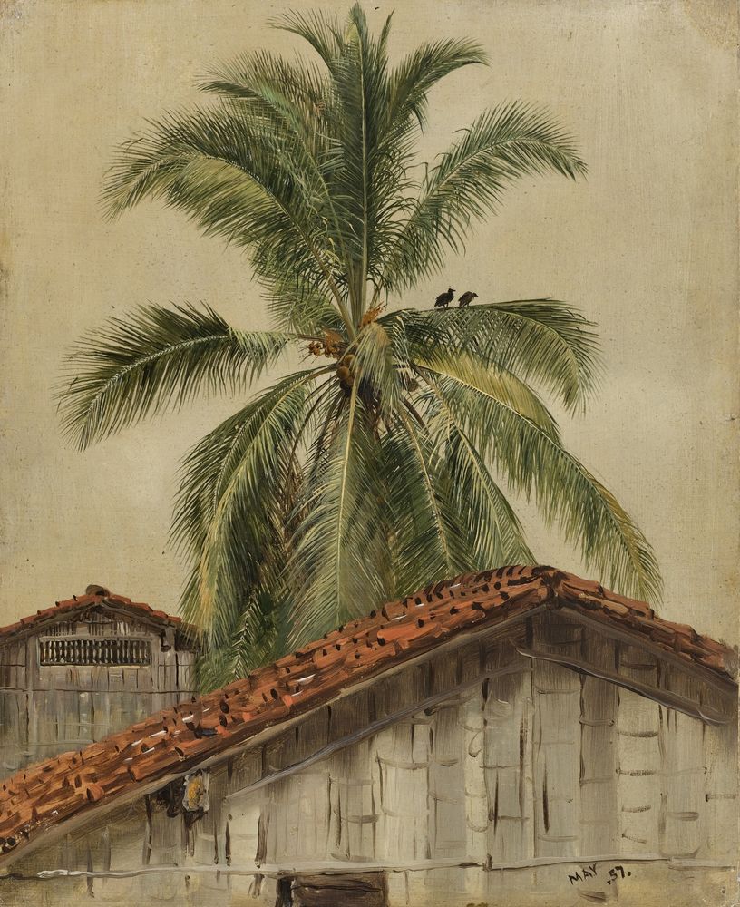 Palm Trees and Housetops, Ecuador - by Frederic Edwin Church