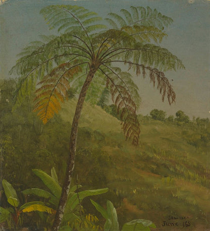 Palm Tree, Jamaica - by Frederic Edwin Church