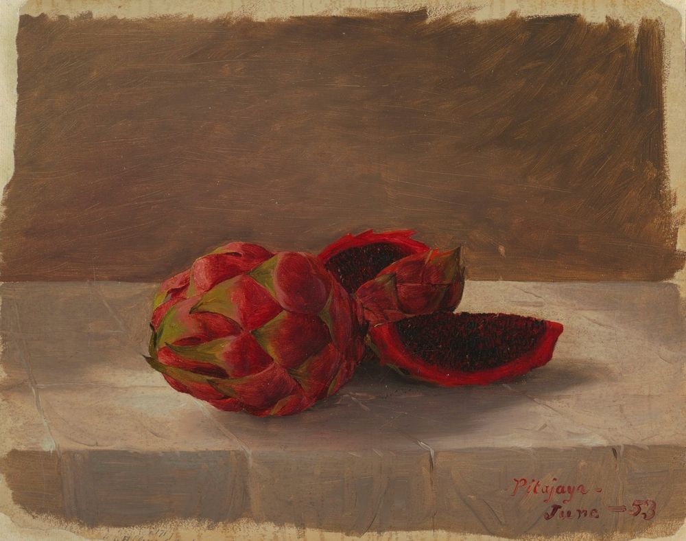 The Pitajaya Fruit, Columbia - by Frederic Edwin Church