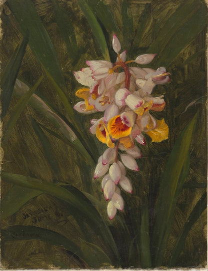 "Cardamum" - by Frederic Edwin Church