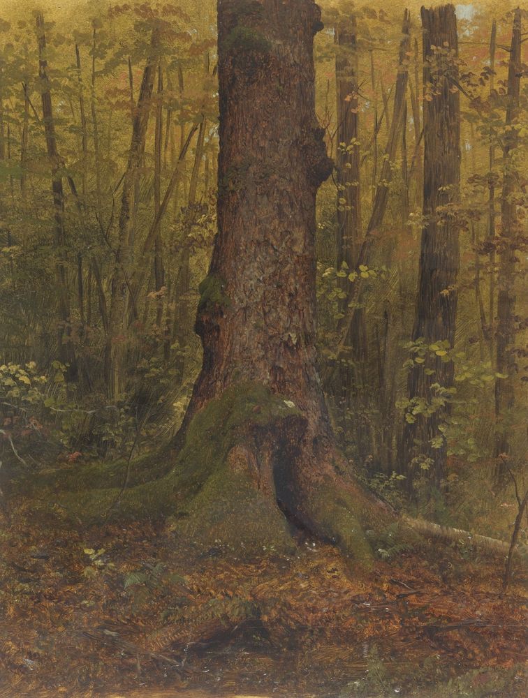 In the Woods, Maine - by Frederic Edwin Church