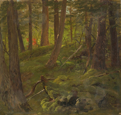 Forest in Jamaica - by Frederic Edwin Church