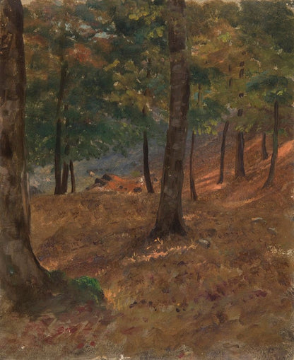 Woodland Scene - by Frederic Edwin Church