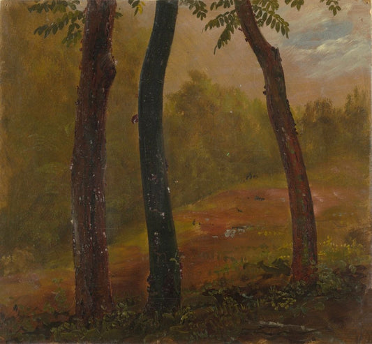 Woodland Scene, Jamaica - by Frederic Edwin Church