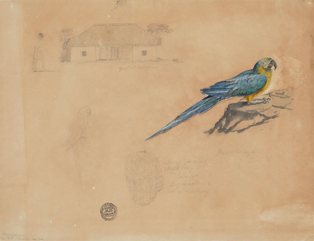 Study of Guacamaya, Bogotá, Colombia - by Frederic Edwin Church