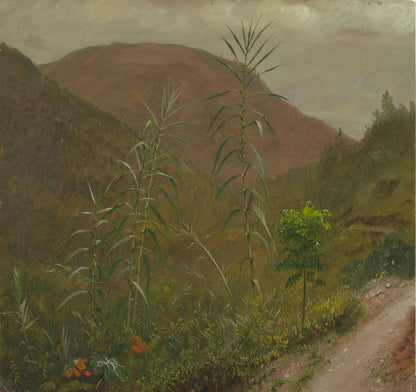 Wild Sugar Cane, Jamaica - by Frederic Edwin Church