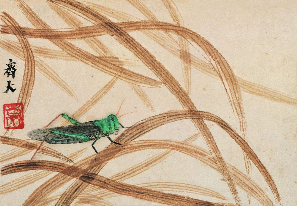 Album of Plants and Insects Painting - grasshopper - by Qi Baishi