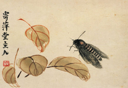 Album of Plants and Insects Painting - ink moth - by Qi Baishi