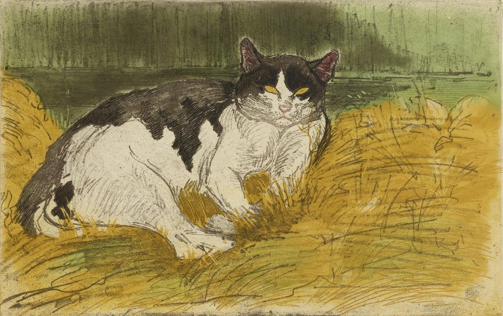 Vieux Chat Noir et Blanc dans l'Herbe - by Théophile Steinlen