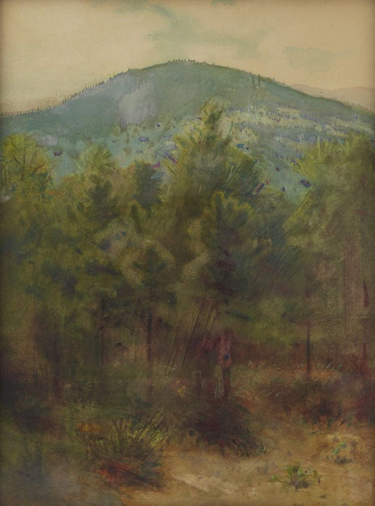 Monadnock Mountain - by Abbott Handerson Thayer