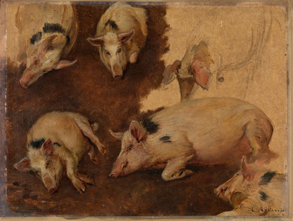 Study of six Pigs - by Anders Askevold