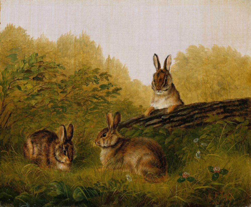 Rabbits on a Log - by Arthur Fitzwilliam Tait