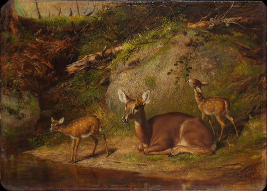 Doe and Two Fawns - by Arthur Fitzwilliam Tait