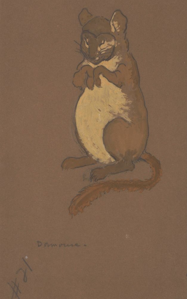 Dormouse (costume design for Alice-in-Wonderland, 1915) - by William Penhallow Henderson