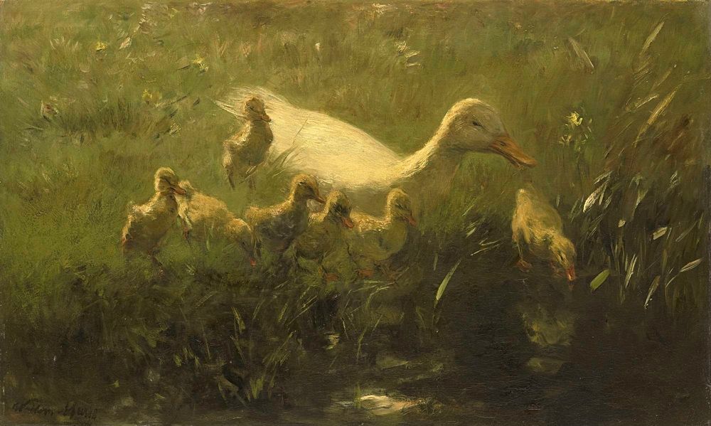 Witte eend met kiekens - by Willem Maris