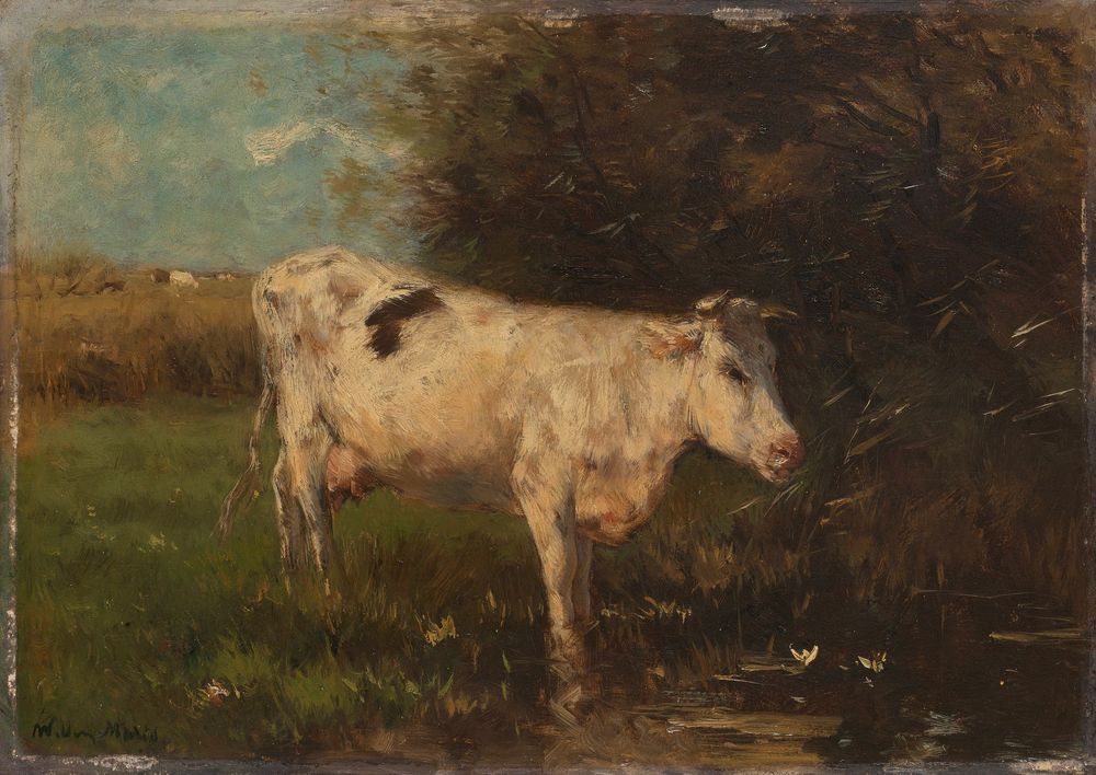 Witte koe - by Willem Maris