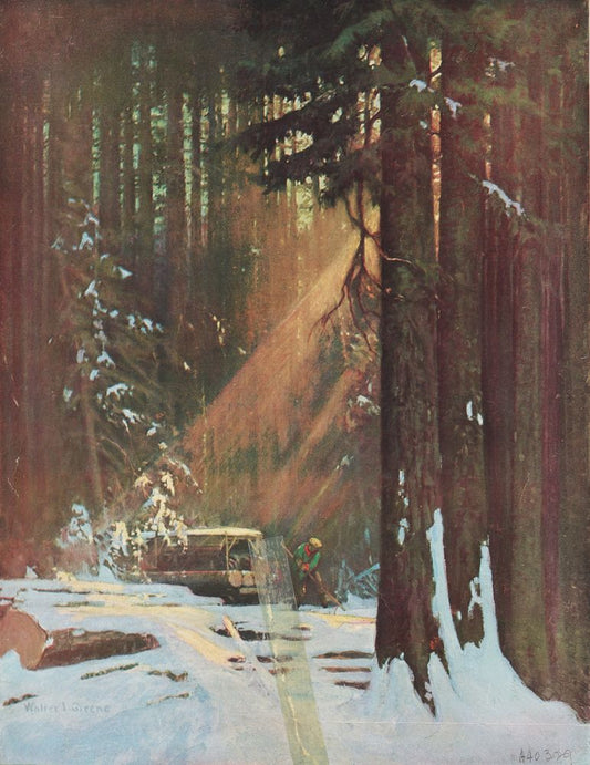 G-E electric "yarder" gathering logs in spruce forests, State of Washington - by Walter L. Greene