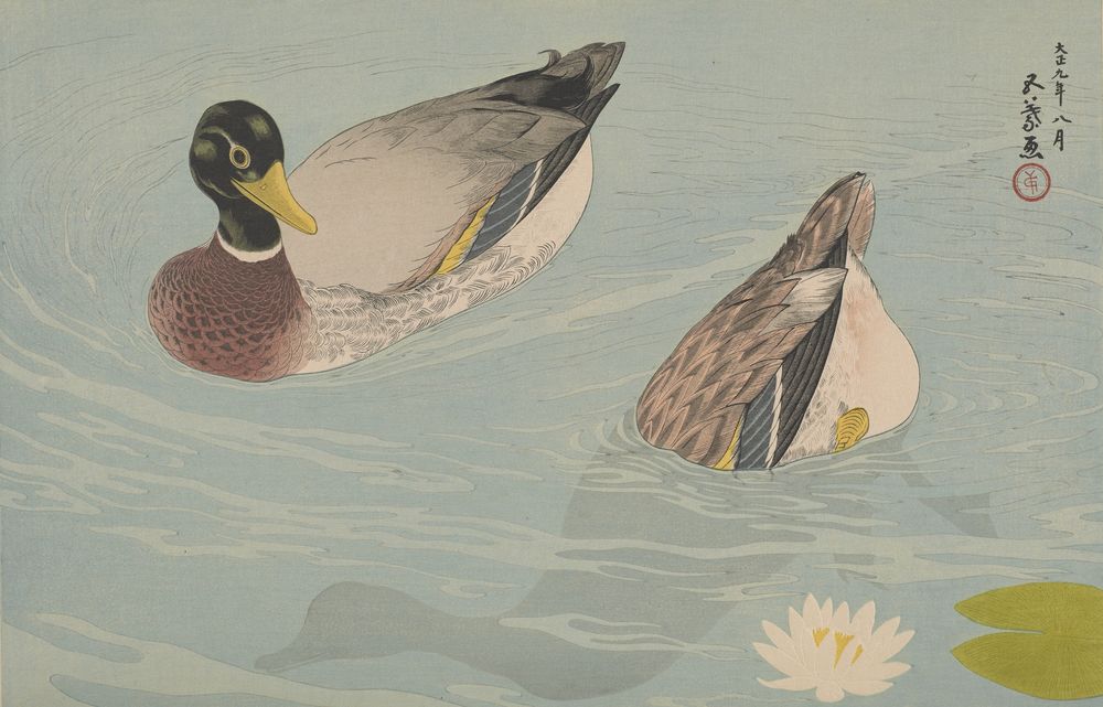 A pair of ducks - by Goyō Hashiguchi