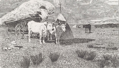 Oxen Yoked to the Cart (Maremma) [Bovi al carro (Maremma)] - by Giovanni Fattori