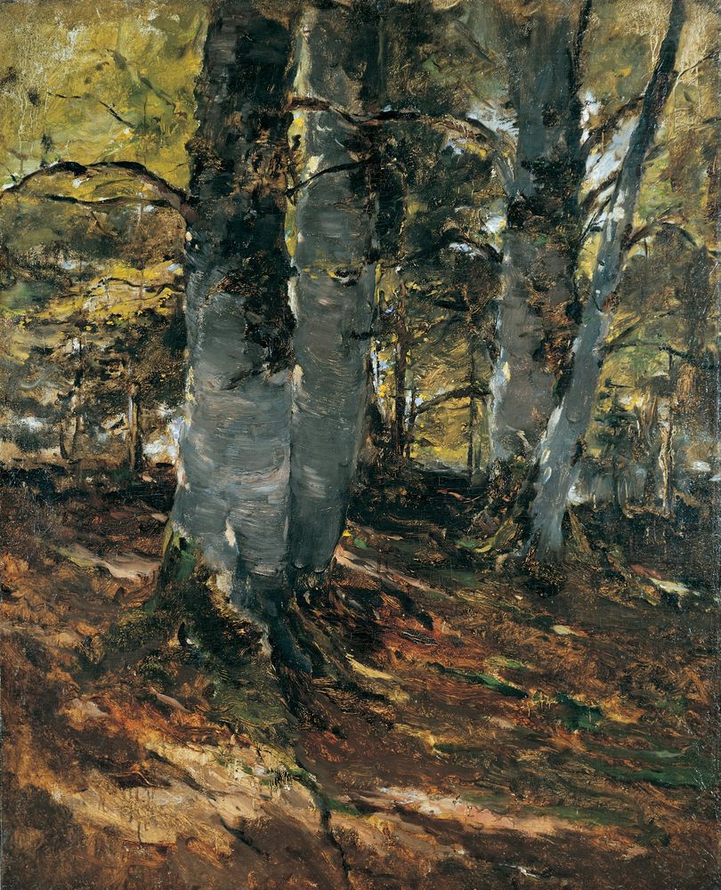 Beechwoods at Polling, Bavaria - by Frank Duveneck