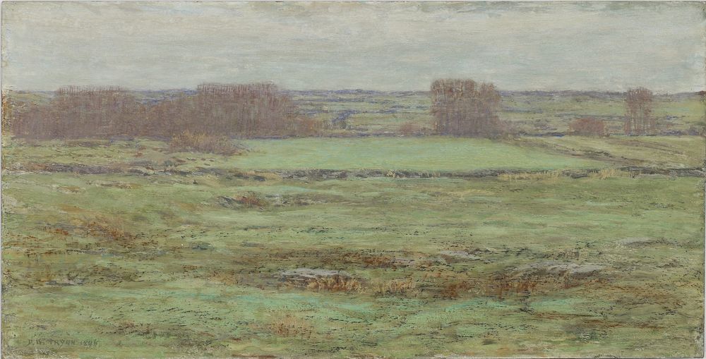 Pasture Lands: Early Spring - by Dwight William Tryon