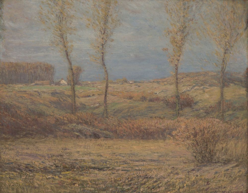 November Morning - by Dwight William Tryon