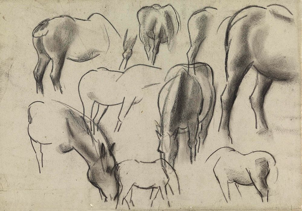 Paarden van verschillende kanten - by Leo Gestel