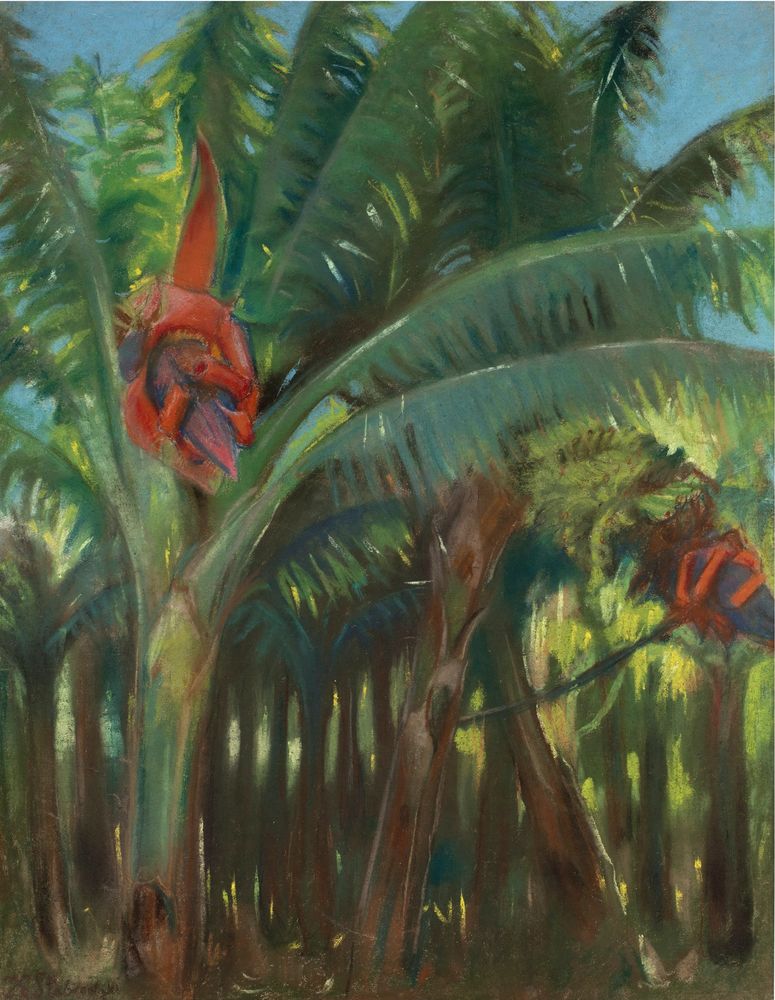 The Banana forest, from the Canary collection - by Kazimierz Stabrowski