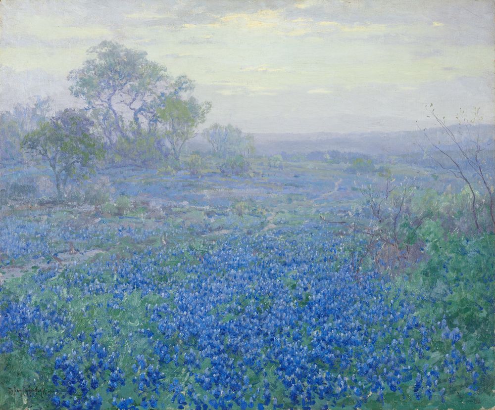 A Cloudy Day, Bluebonnets near San Antonio, Texas - by Julian Onderdonk