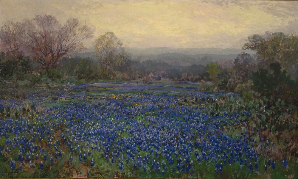 Untitled (Field of Bluebonnets) - by Julian Onderdonk