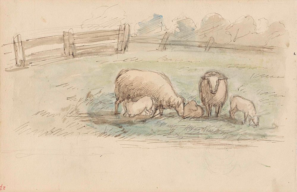 Schapen in een weide - by Jozef Israëls