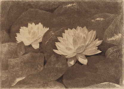 Waterlilies - by John Henry Hill