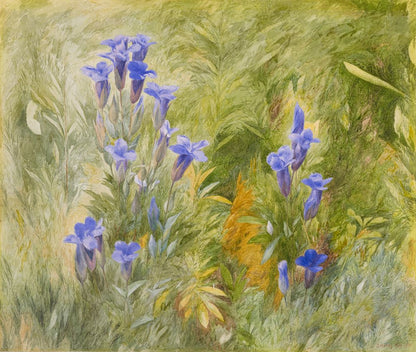 Gentians - by John Henry Hill